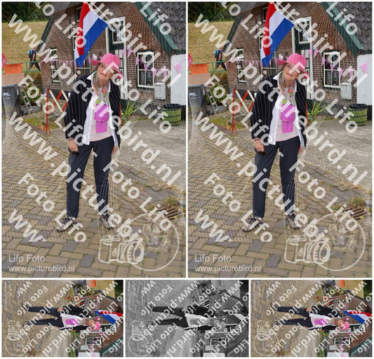 Evenement foto: Nijmeegse Vierdaagse 927