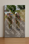 Evenement foto: Nijmeegse Vierdaagse 927
