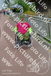Evenement foto: Nijmeegse Vierdaagse 927