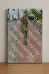 Evenement foto: Nijmeegse Vierdaagse 927