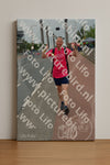 Evenement foto: Nijmeegse Vierdaagse 927