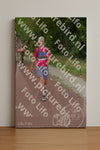 Evenement foto: Nijmeegse Vierdaagse 927