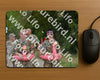 Evenement foto: Nijmeegse Vierdaagse 927