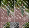Evenement foto: Nijmeegse Vierdaagse 927