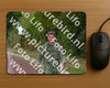 Evenement foto: Nijmeegse Vierdaagse 927