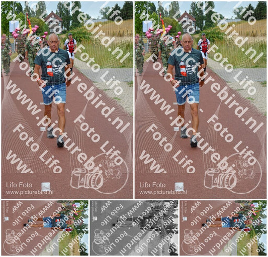 Evenement foto: Nijmeegse Vierdaagse 927