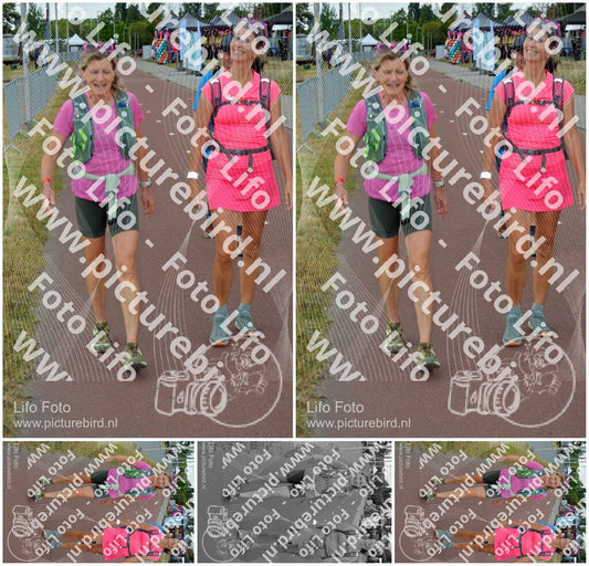 Evenement foto: Nijmeegse Vierdaagse 927