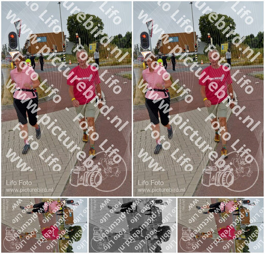 Evenement foto: Nijmeegse Vierdaagse 927