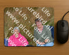 Evenement foto: Nijmeegse Vierdaagse 927