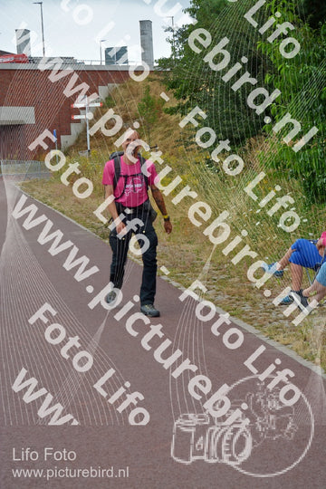 Evenement foto: Nijmeegse Vierdaagse 927