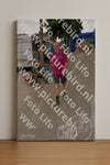 Evenement foto: Nijmeegse Vierdaagse 927