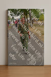 Evenement foto: Nijmeegse Vierdaagse 927