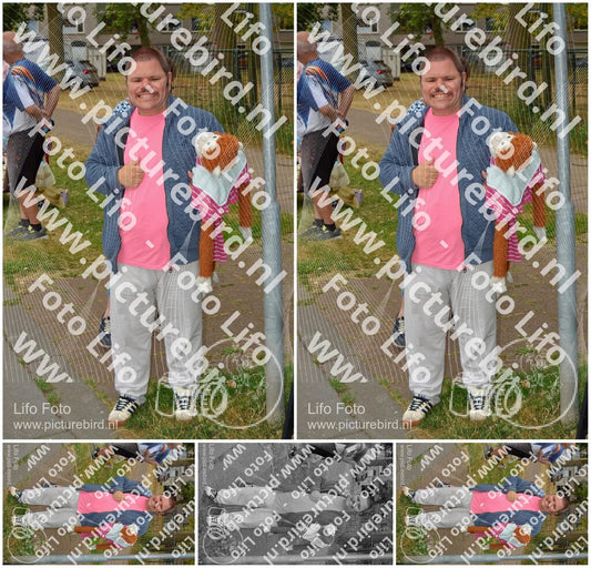 Evenement foto: Nijmeegse Vierdaagse 927