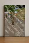 Evenement foto: Nijmeegse Vierdaagse 926