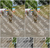 Evenement foto: Nijmeegse Vierdaagse 926