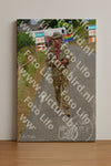 Evenement foto: Nijmeegse Vierdaagse 926
