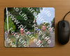 Evenement foto: Nijmeegse Vierdaagse 926