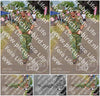 Evenement foto: Nijmeegse Vierdaagse 926