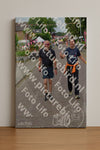 Evenement foto: Nijmeegse Vierdaagse 926