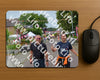 Evenement foto: Nijmeegse Vierdaagse 926