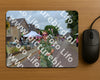 Evenement foto: Nijmeegse Vierdaagse 926