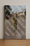 Evenement foto: Nijmeegse Vierdaagse 926