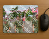 Evenement foto: Nijmeegse Vierdaagse 926