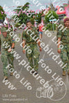 Evenement foto: Nijmeegse Vierdaagse 926