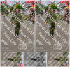 Evenement foto: Nijmeegse Vierdaagse 926