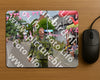 Evenement foto: Nijmeegse Vierdaagse 926