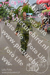 Evenement foto: Nijmeegse Vierdaagse 926