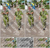 Evenement foto: Nijmeegse Vierdaagse 926