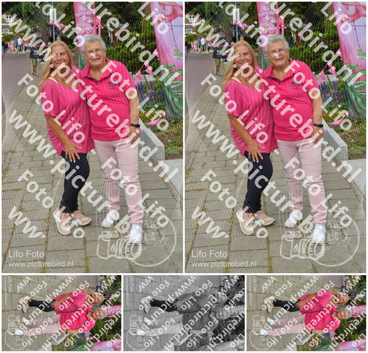 Evenement foto: Nijmeegse Vierdaagse 926