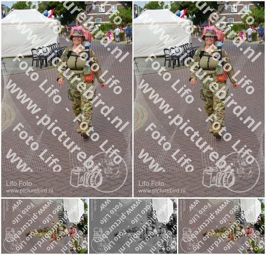 Evenement foto: Nijmeegse Vierdaagse 926