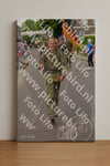Evenement foto: Nijmeegse Vierdaagse 926