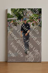 Evenement foto: Nijmeegse Vierdaagse 926