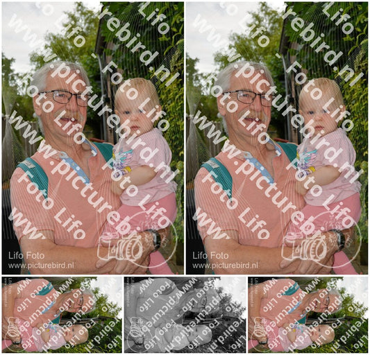 Evenement foto: Nijmeegse Vierdaagse 926