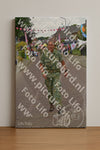 Evenement foto: Nijmeegse Vierdaagse 926