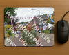 Evenement foto: Nijmeegse Vierdaagse 926