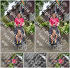 Evenement foto: Nijmeegse Vierdaagse 925