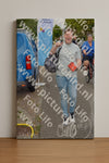 Evenement foto: Nijmeegse Vierdaagse 925
