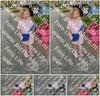 Evenement foto: Nijmeegse Vierdaagse 925