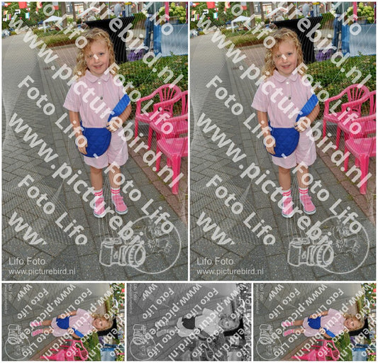 Evenement foto: Nijmeegse Vierdaagse 925