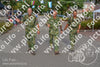 Evenement foto: Nijmeegse Vierdaagse 925