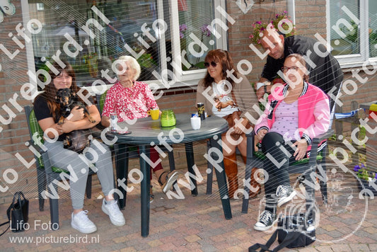 Evenement foto: Nijmeegse Vierdaagse 925