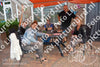 Evenement foto: Nijmeegse Vierdaagse 925