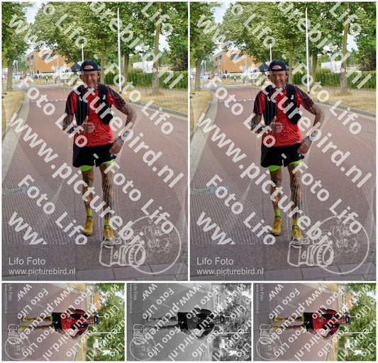 Evenement foto: Nijmeegse Vierdaagse 925