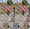 Evenement foto: Nijmeegse Vierdaagse 925