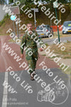 Evenement foto: Nijmeegse Vierdaagse 925