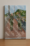 Evenement foto: Nijmeegse Vierdaagse 925